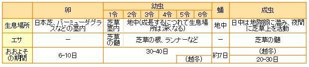 シバオサゾウムシの生態