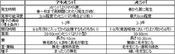 アキメヒシバ／メヒシバ
