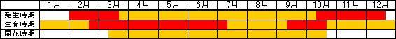 ハコベ