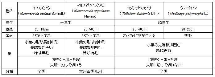 ヤハズソウ