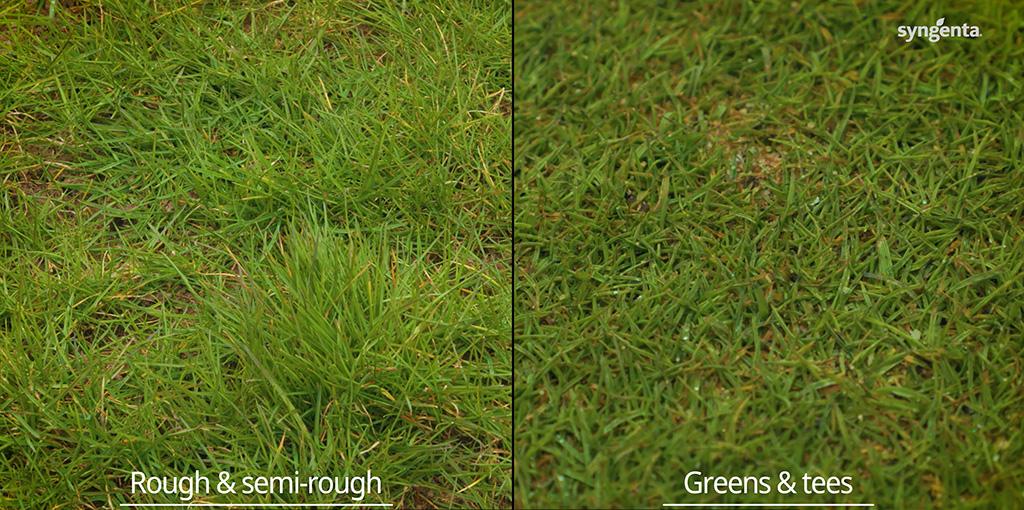 1024_x_500_target_turf_surfaces.jpg