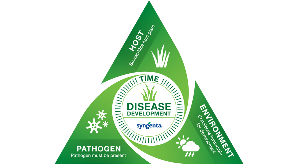 1024_x_576_disease_itm_triangle.png