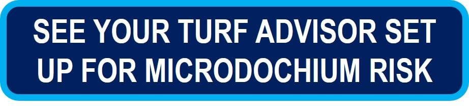 see_your_turf_advisor_set_up_for_microdochium_risk.jpg