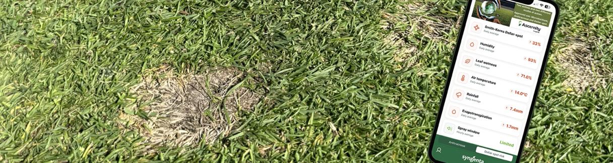 Turf Advisor dollar spot dashboard