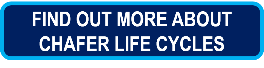 Find out more about chafer life cycles