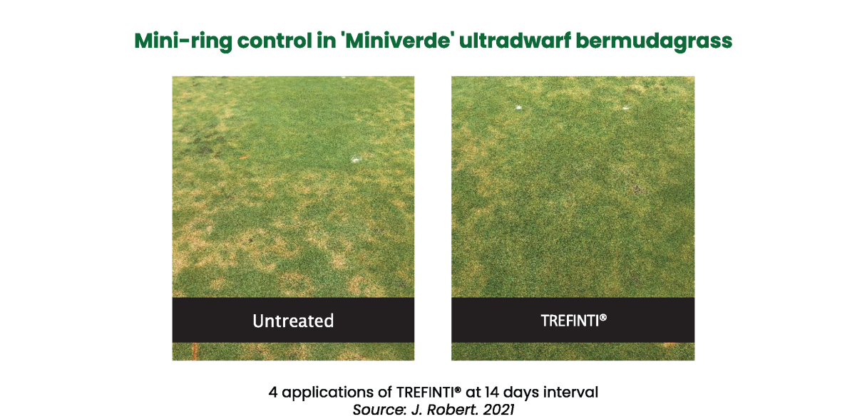 The Solution for Nematode Control