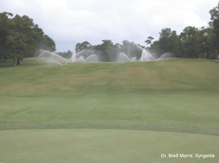 The Hidden Nematode Threat