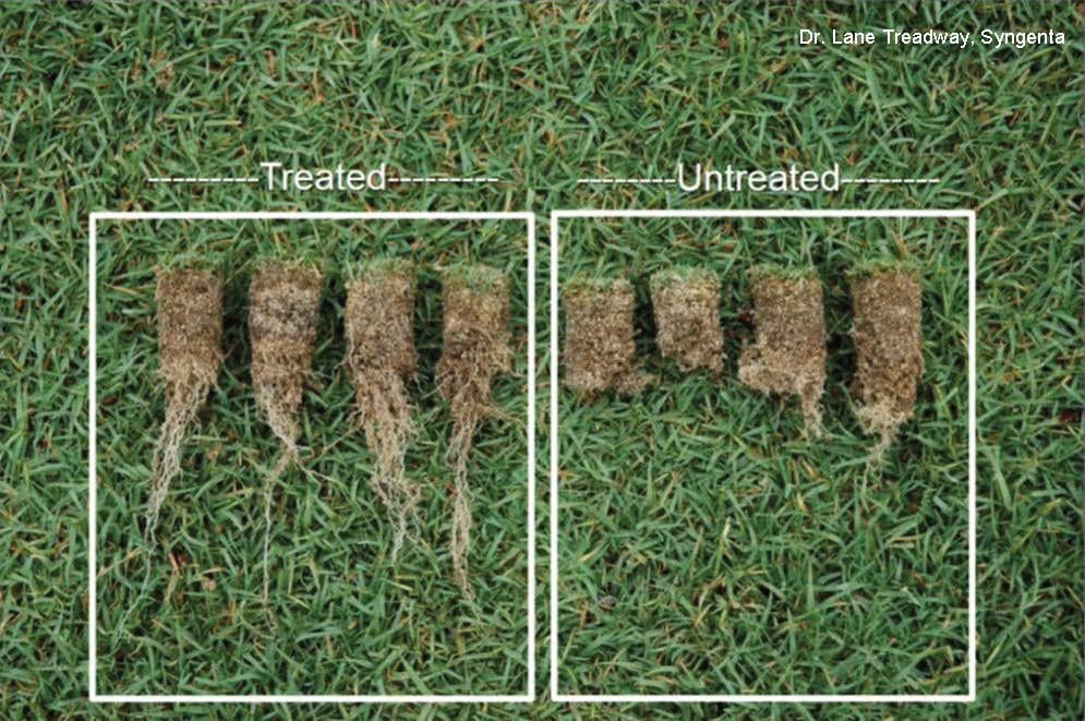 The Hidden Nematode Threat