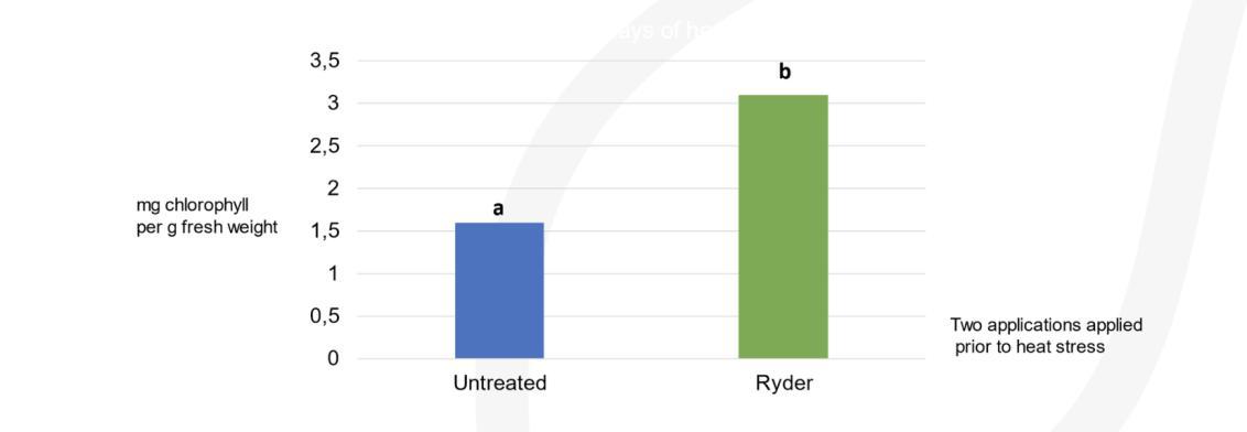Ryder Turf Pigment