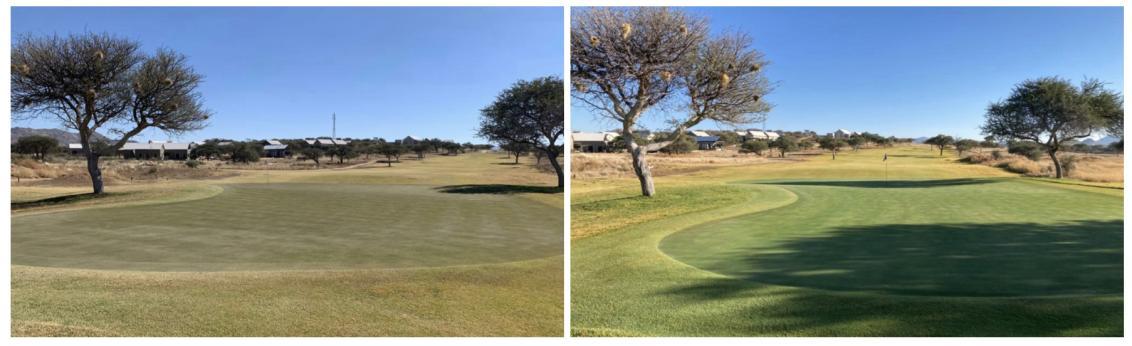 Ryder - Before and After - See for Yourself