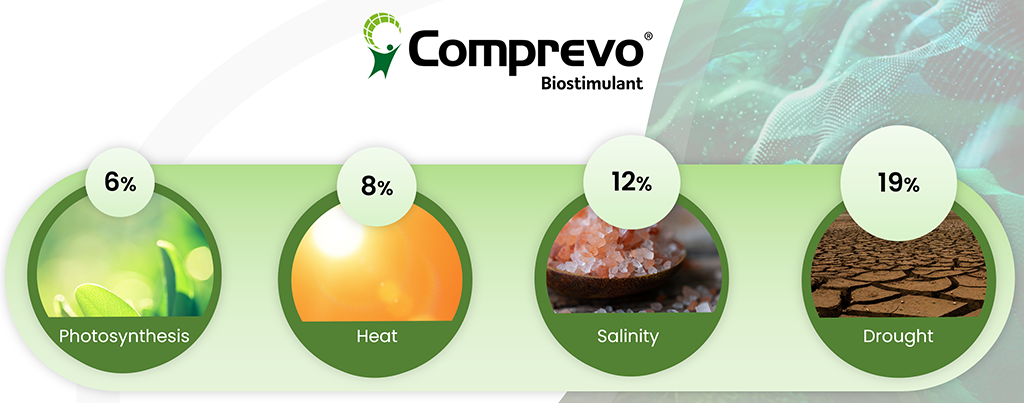 1024_x_403_comprevo_genetic_response_uplift.png