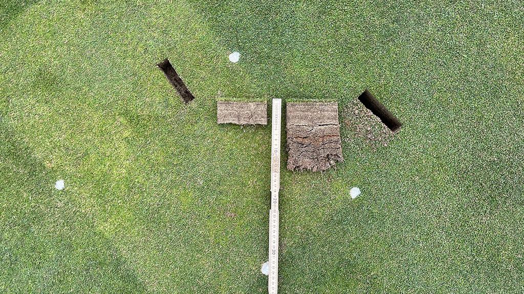 1024_x_576_biostimulant_turf_trial.jpg