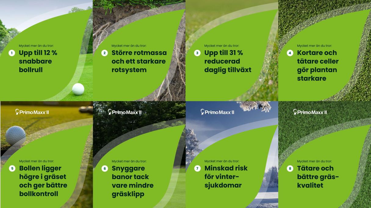 Primo Maxx II - fördelarna