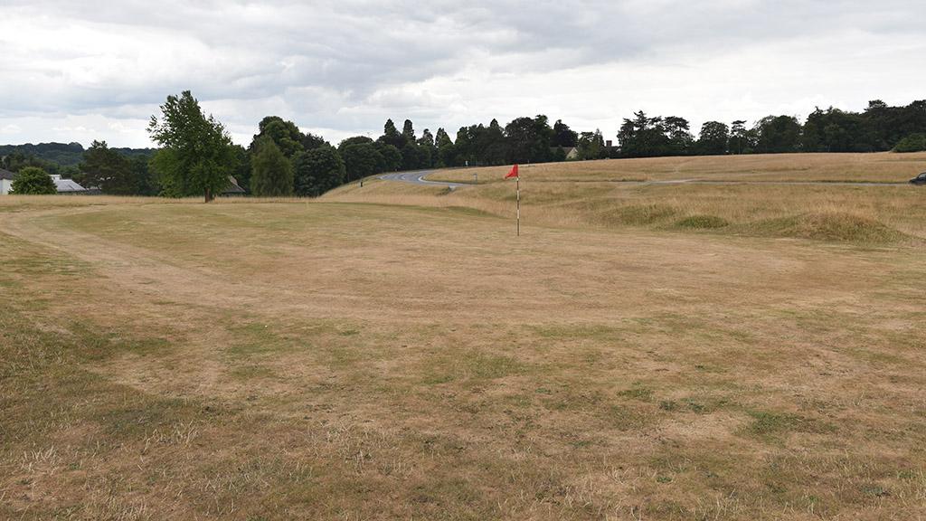 Drought effects on golf green