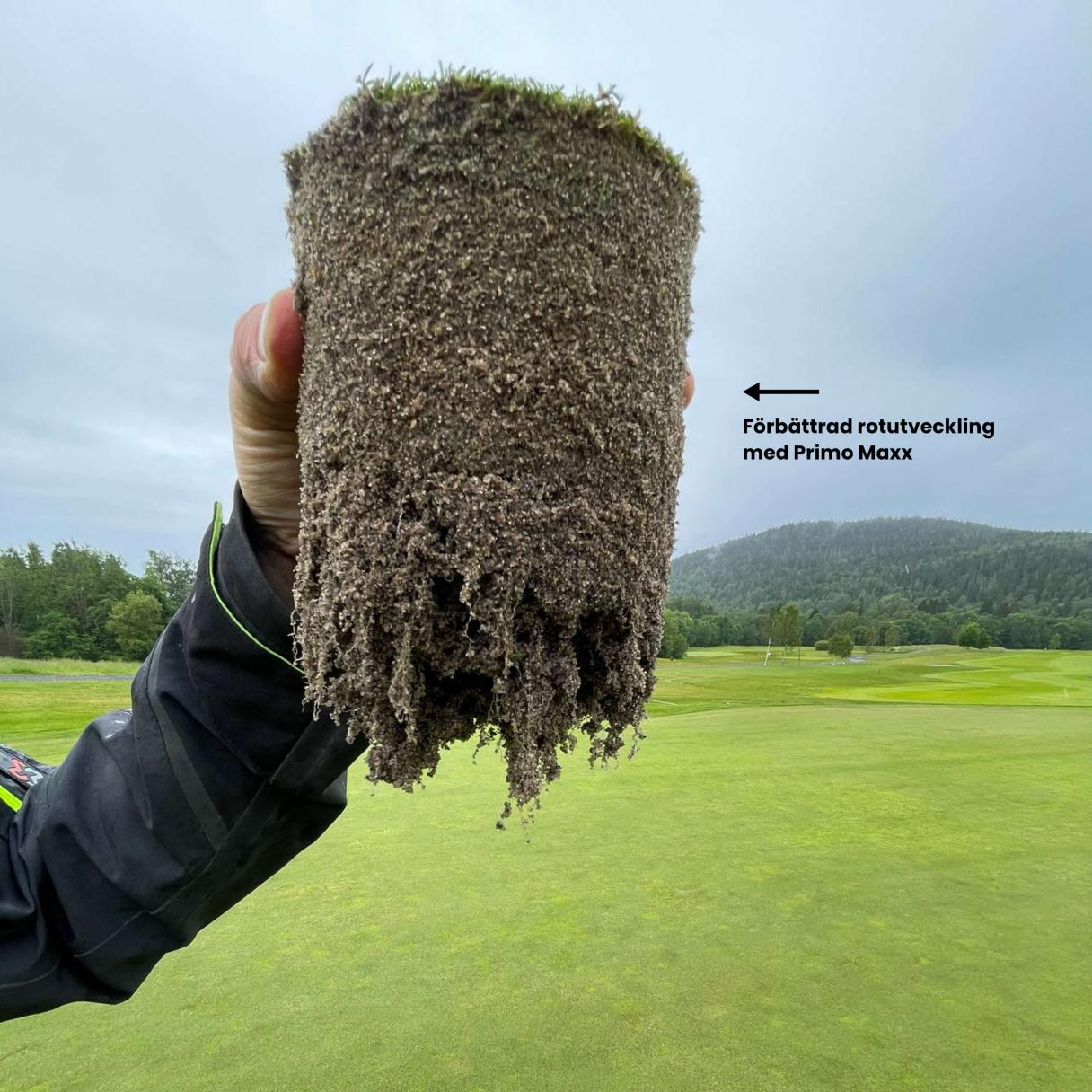 Primo Maxx - Rotutvecling