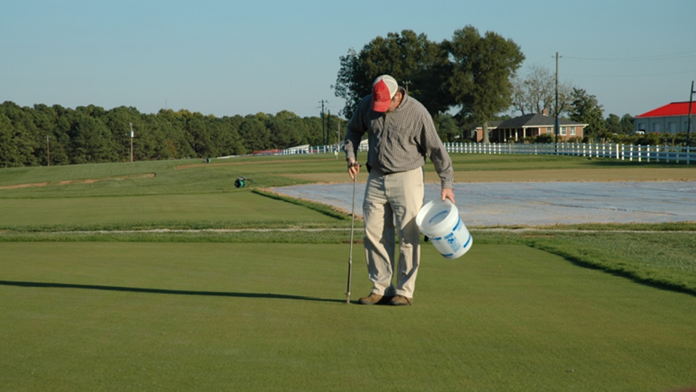 Collect 15 to 20 samples, avoiding severely damaged areas.
