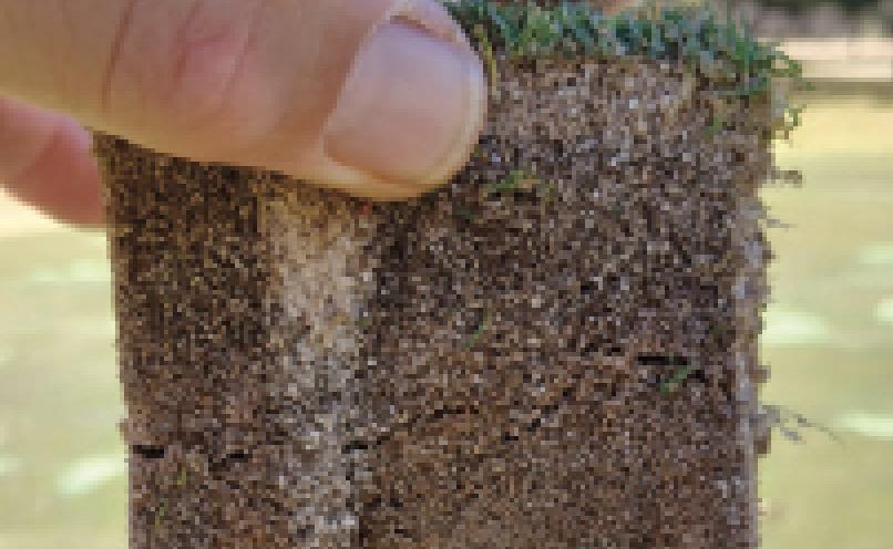 Spring Golf Course Tips for Greenkeepers in South Africa