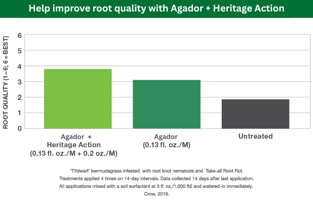 Bar chart comparing root quality for Agdor Heritage Action and Agdor, with untreated lower