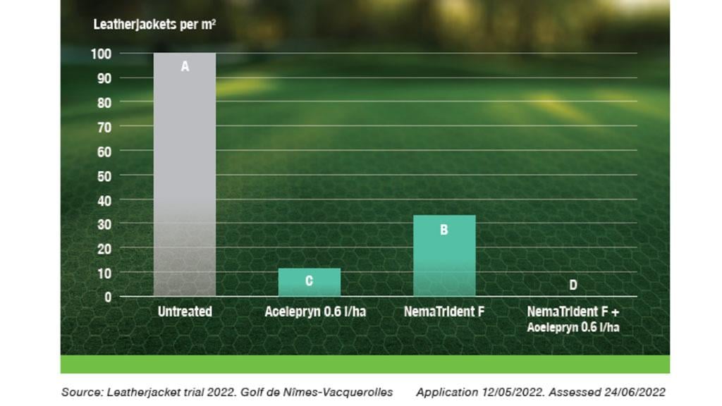 Optimum leatherjacket control from Acelepryn + NemaTrident nematodes