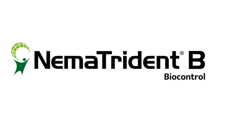Nematrident B