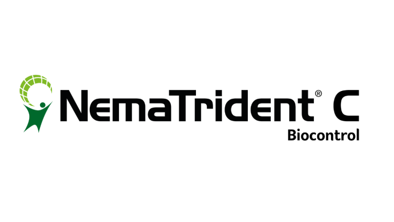 Nematrident C