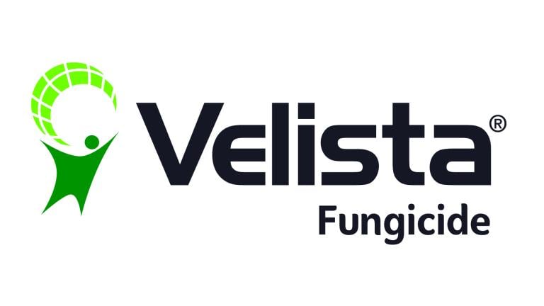 velista_cmyk