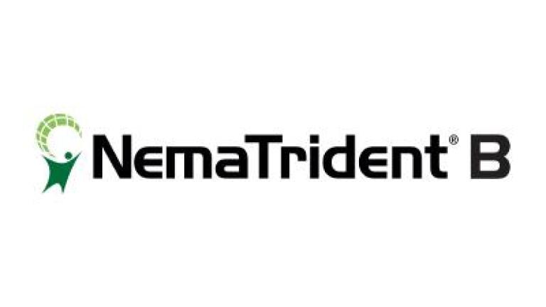 Nematrident B logo